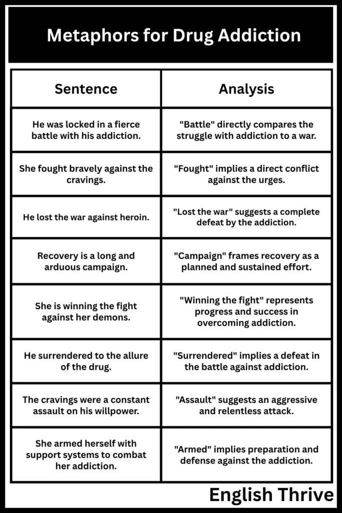 Metaphors for Drug Addiction