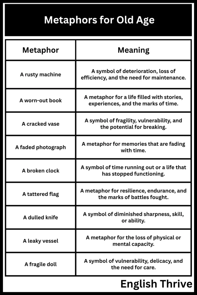 Metaphors for Old Age