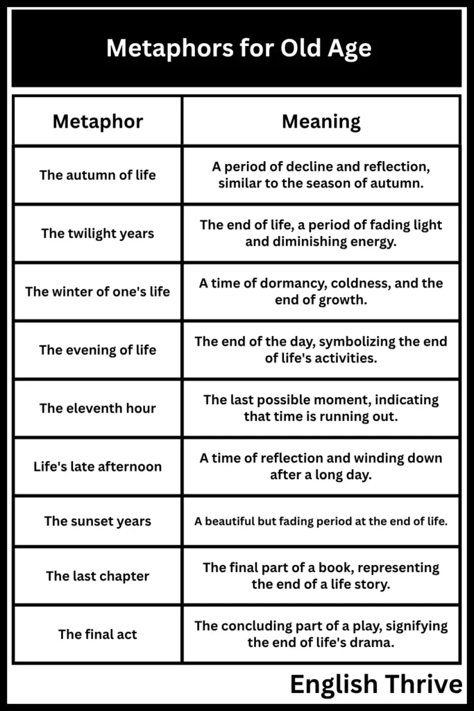 Metaphors for Old Age
