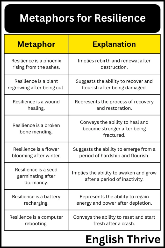Metaphors for Resilience