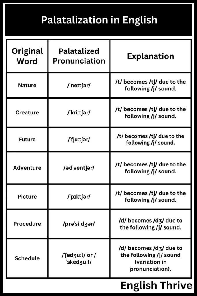 Palatalization in English