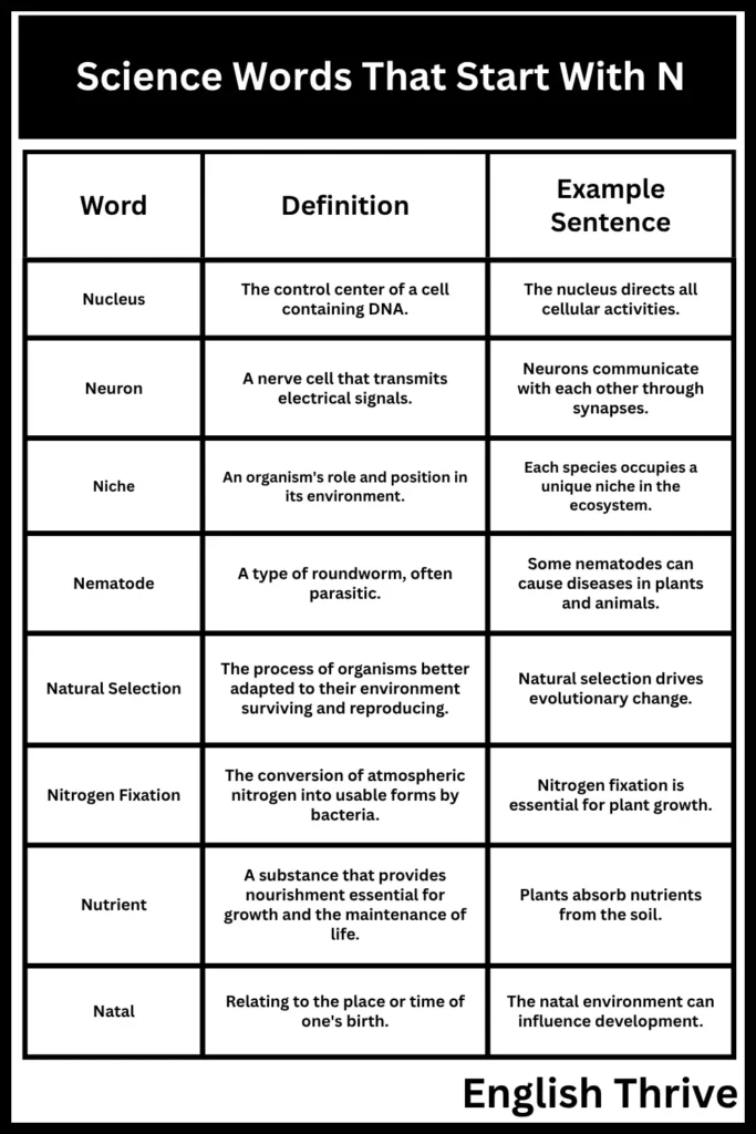 Science Words Starting with N