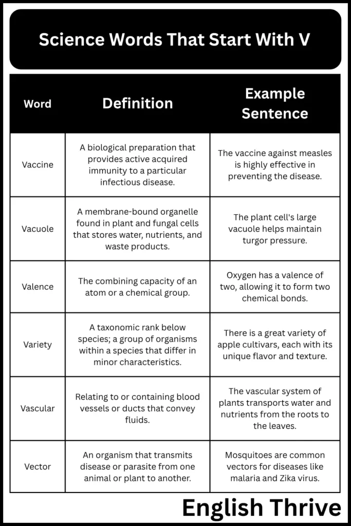 Science Words That Start With V