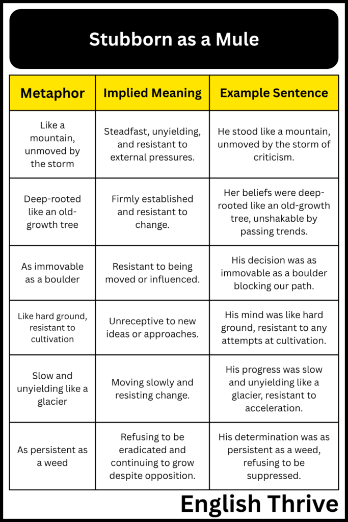 Metaphors for Stubbornness