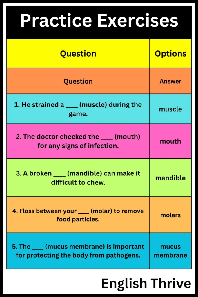 Body Parts That Starting With M