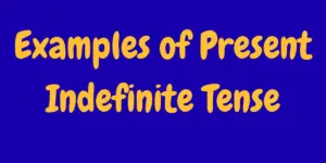 Examples of present indefinite Tense