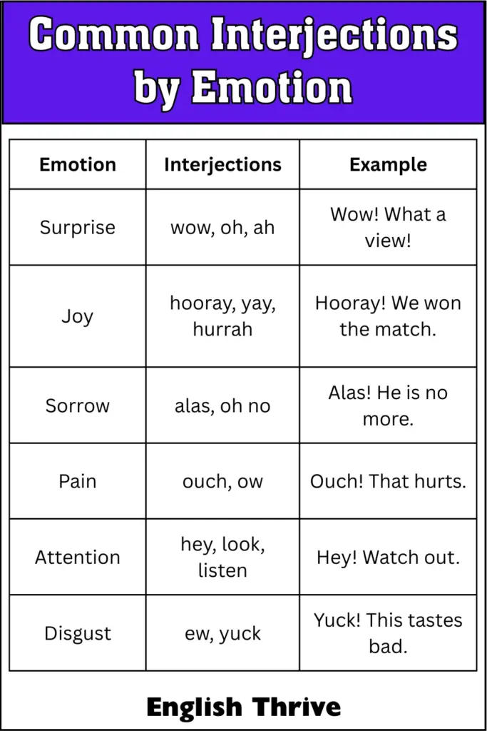 Identify the Nouns Worksheet