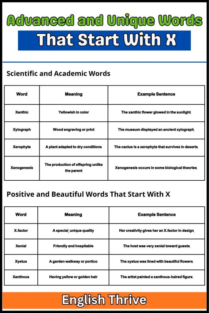 Advanced and Unique Words That Start With X