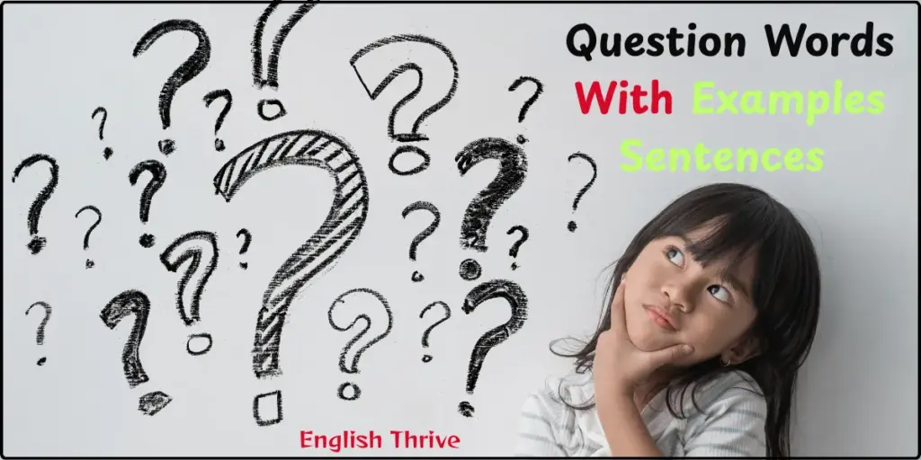 Question Words With Examples