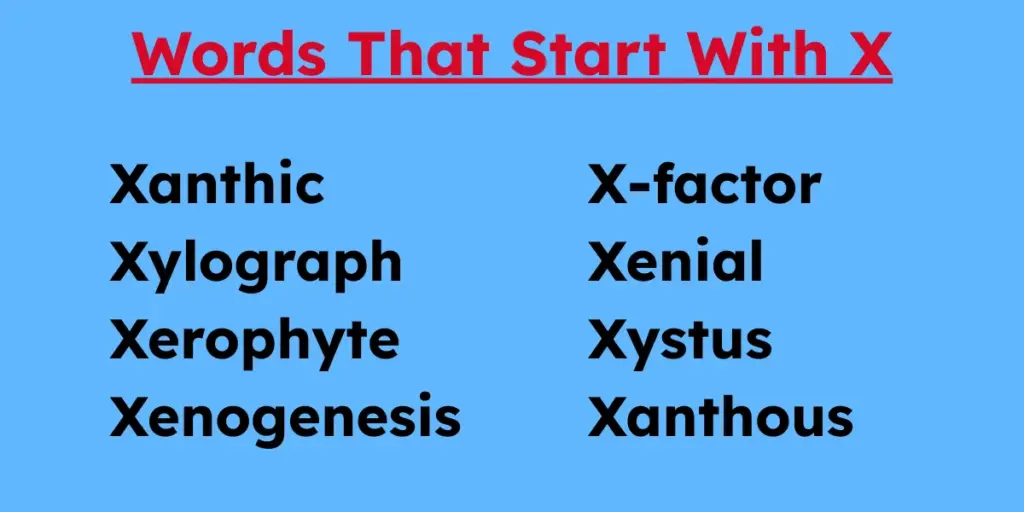 Words that starts with x
