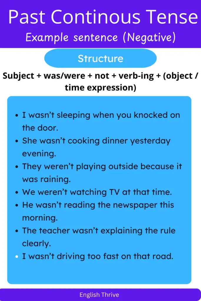 Past Continuous Tense Sentences