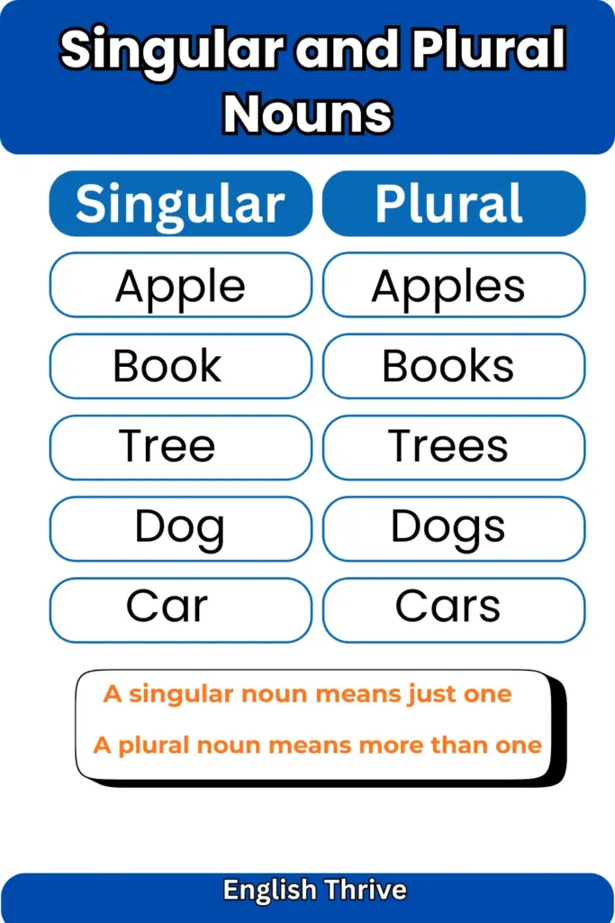 English Noun Complete Guide – Definition, Types, Rules, and Examples
