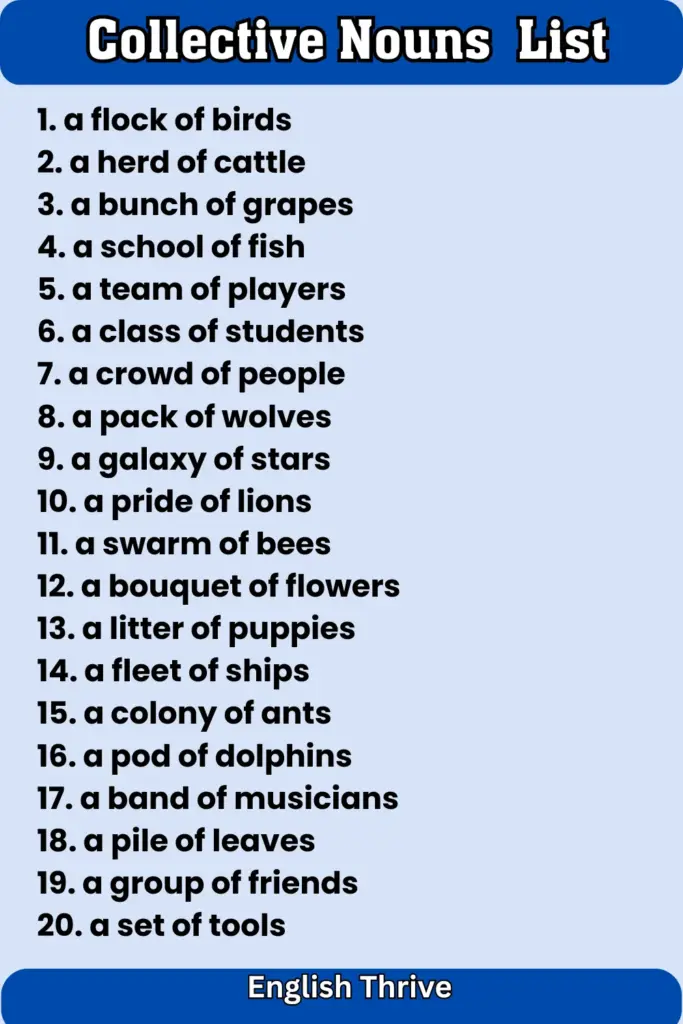 English Noun Complete Guide – Definition, Types, Rules, and Examples