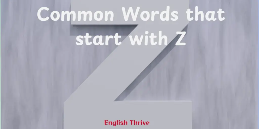 Common Words That Start With Z