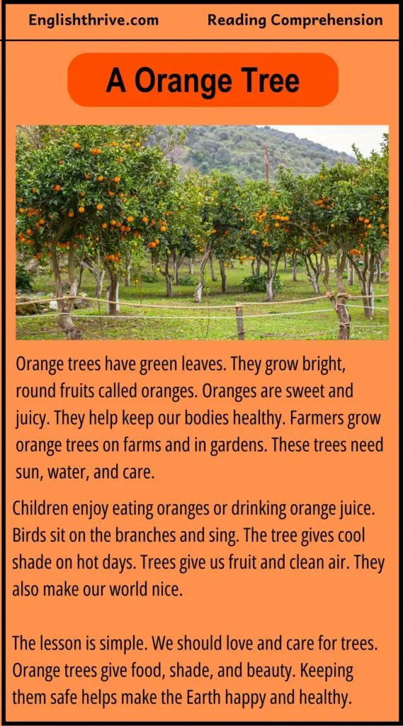 Orange Tree Reading Comprehension
