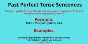 Past Perfect Tense Sentences