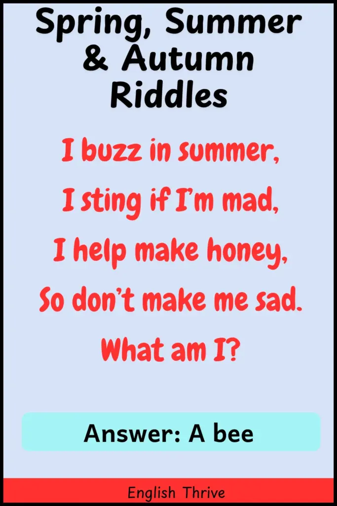 Riddles With Answers